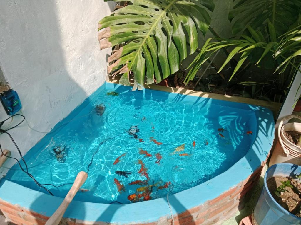 Posada Don Guillo - 5