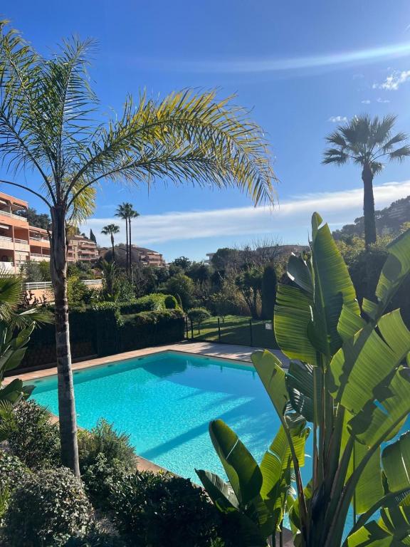 Appartement moderne dans une résidence avec piscine - 1
