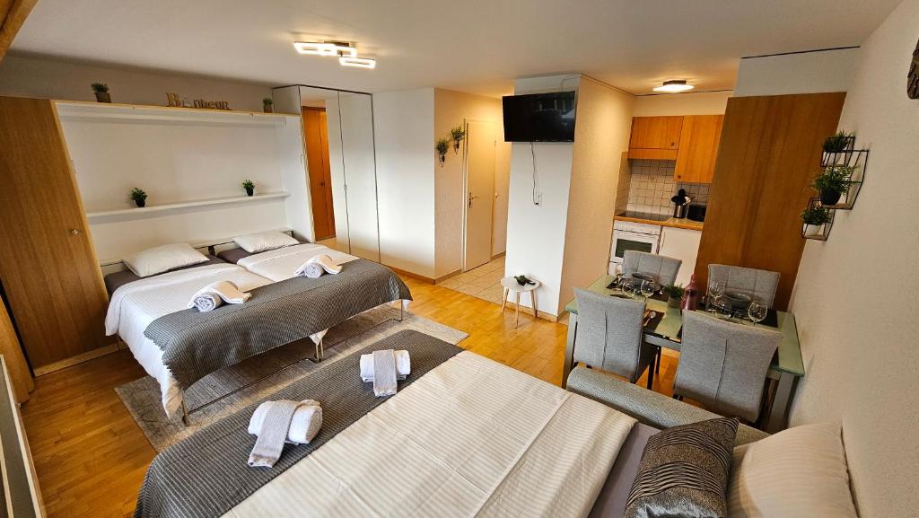 Studio 4103 Les Sources aux Bains d'Ovronnaz - 4
