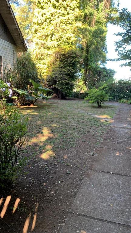 Hospedaje en borde río - 4