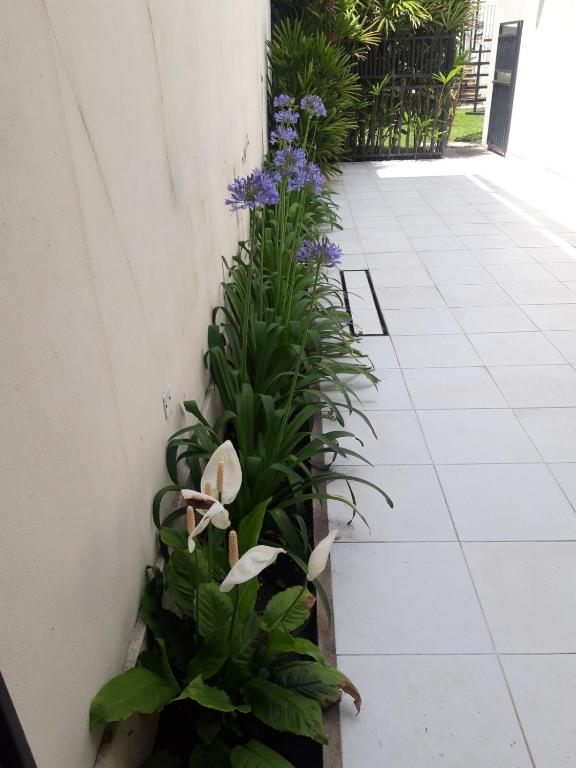 spectacular house with 4 bedroom in barrio sur with a pool - 2