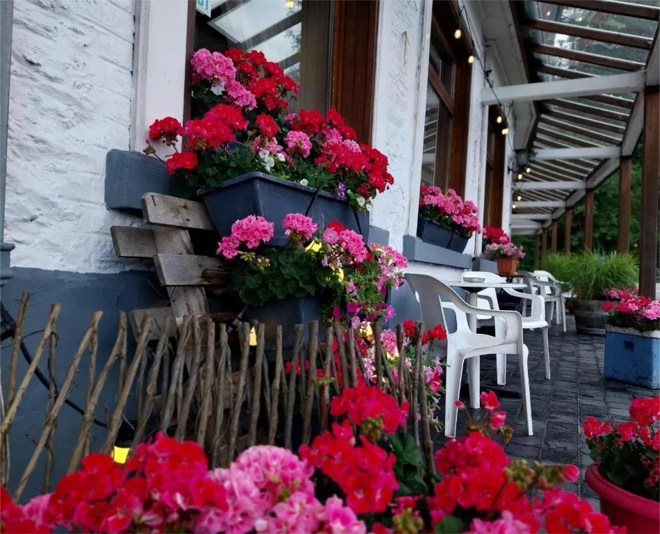 Hotel Le Chalet, hotel in La Roche-en-Ardenne