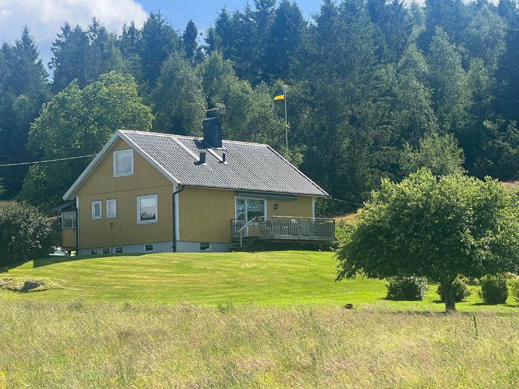 Svarteborg Dingle, Dingle