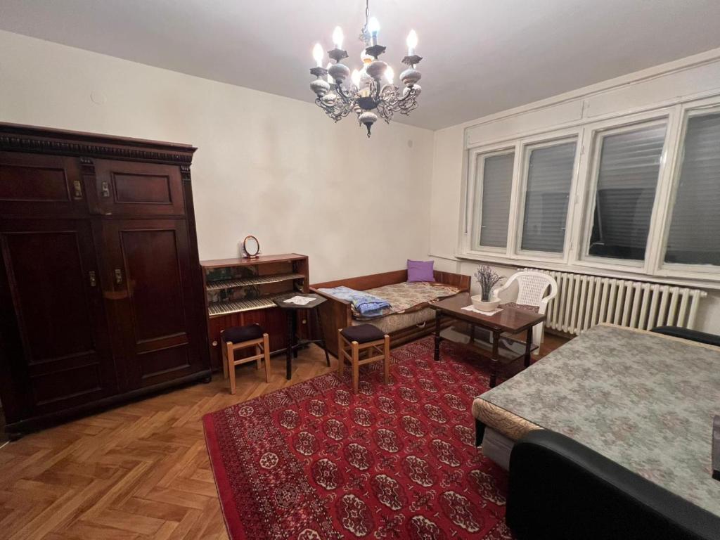 At HORSE city center - 3