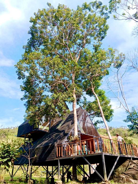 Cabaña del rio, San Luis, Antioquia - 1