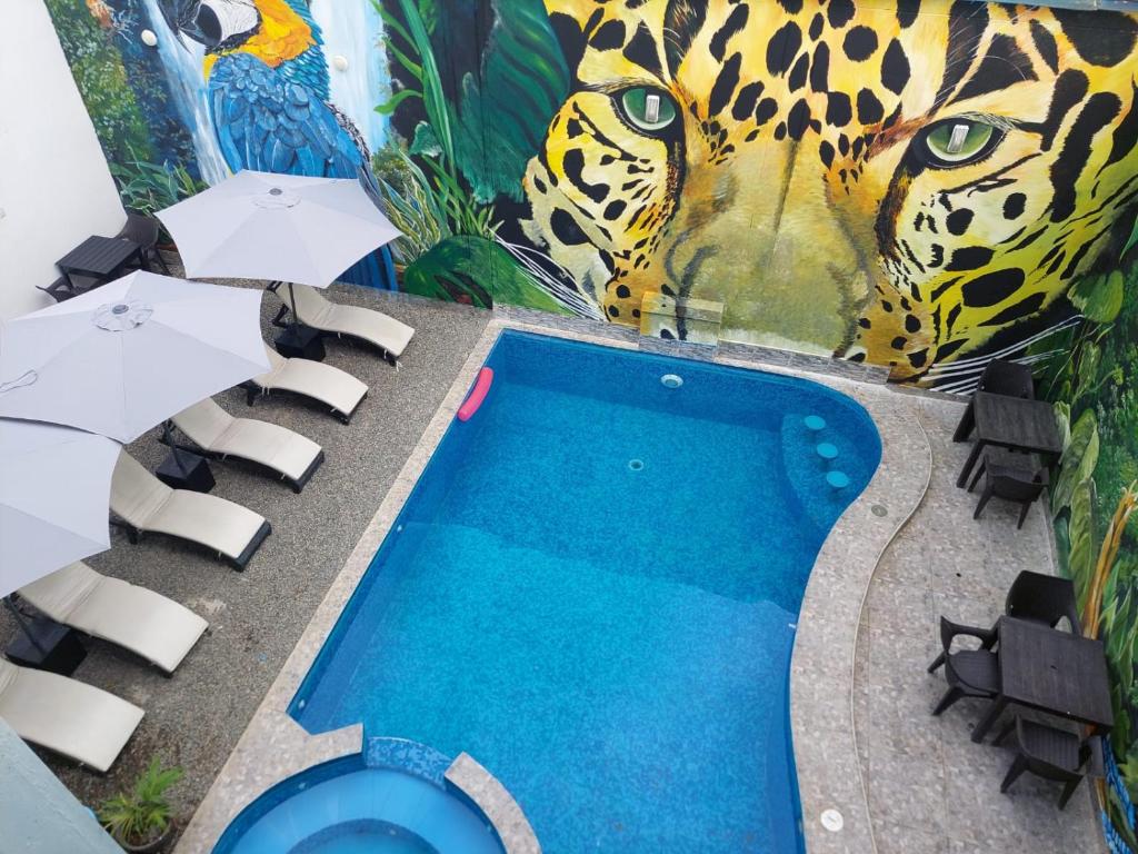 COSTA AZUL, Tarapoto