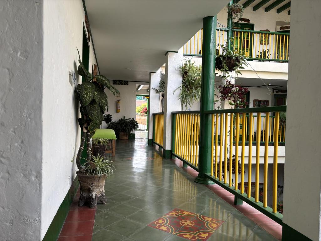 Hotel Vegas Del Rio Támesis - 4