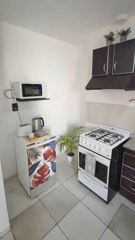 Departamento Centro Ciudad Mendoza Cochera - 4