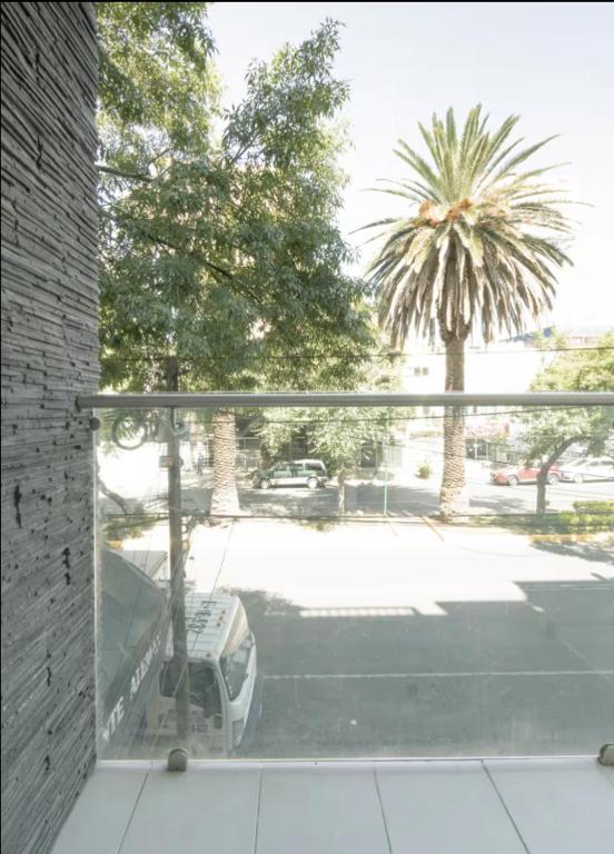 Incredible Apartment with great location in CDMX - 3