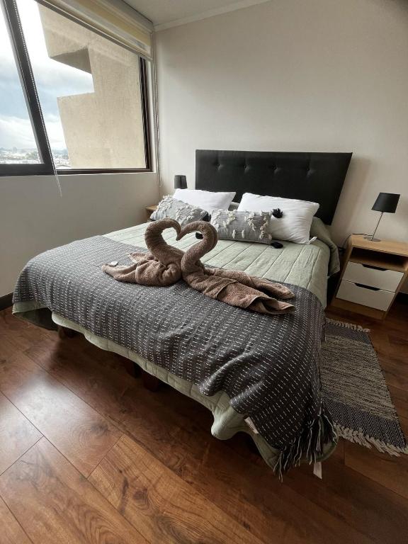 Soñado depto con vista al lago, los volcanes y a todo Llanquihue - 5