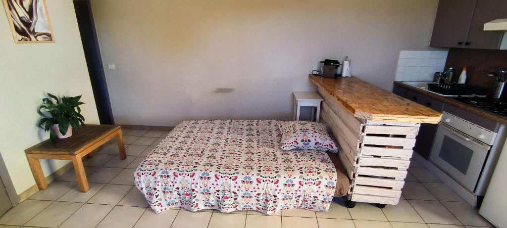 appartement proche zenith - 4