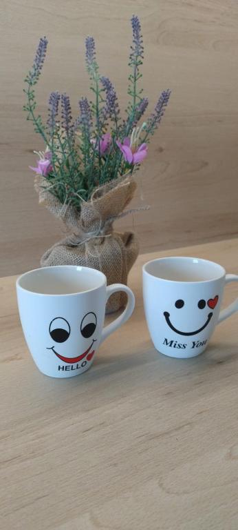 Apartament la Mare - Constanta, Constanţa