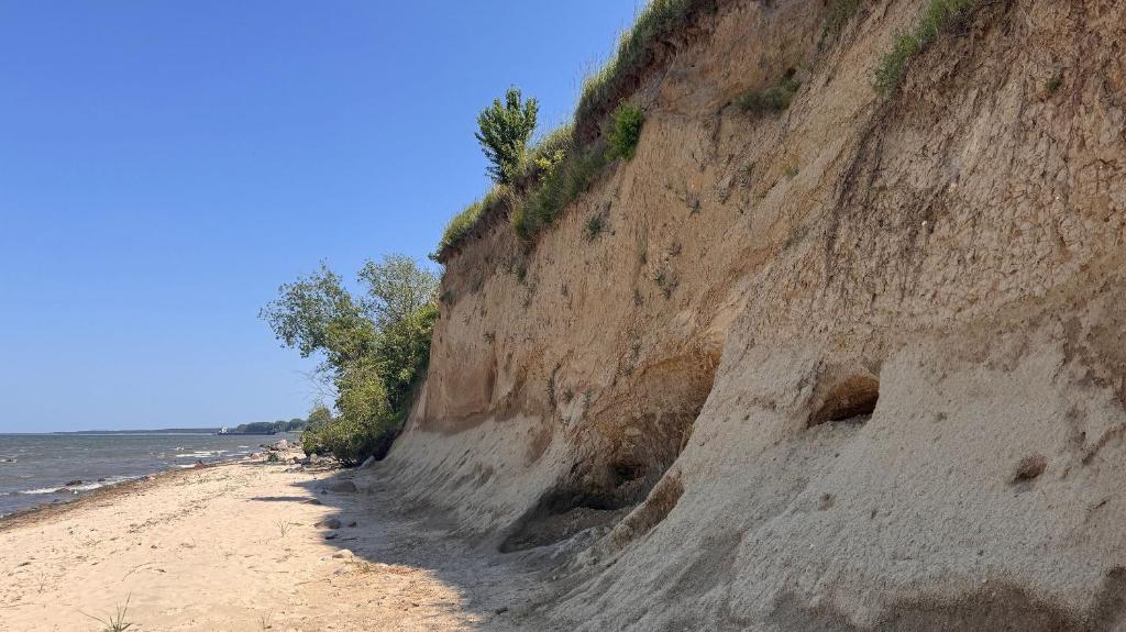 Blaumuschel Sprotte 15, Lubmin