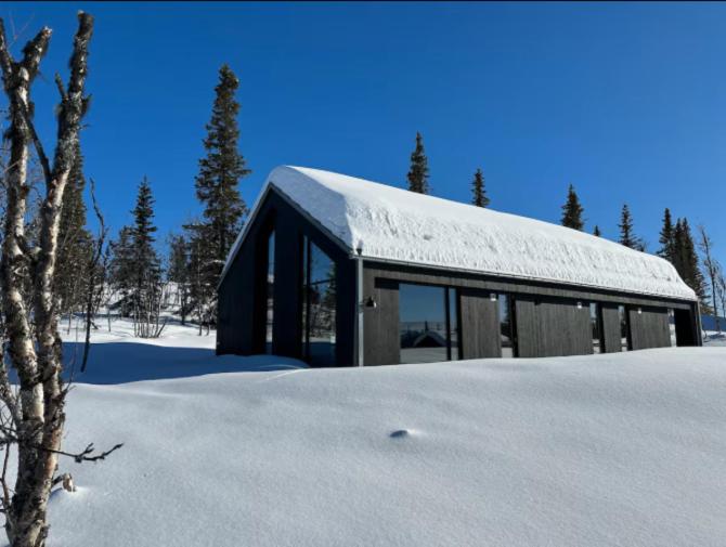 The Lookout at Beitostølen, Beitostøl