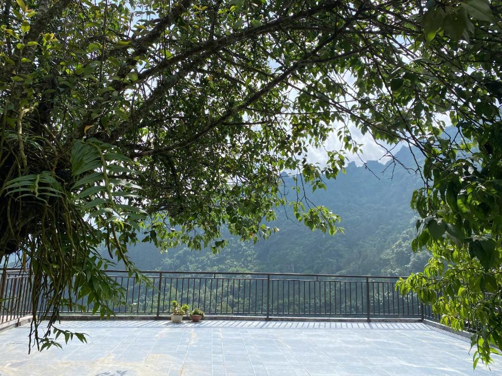 Surrounding environment