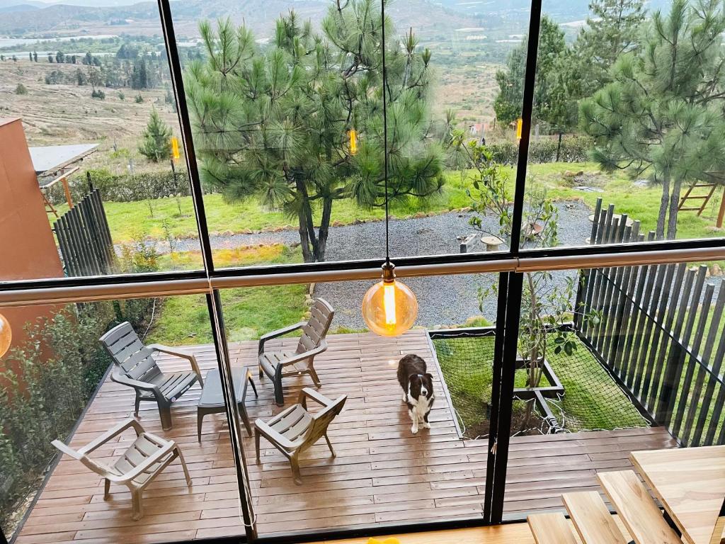 Glamping Desierto Santa María 2 - 3
