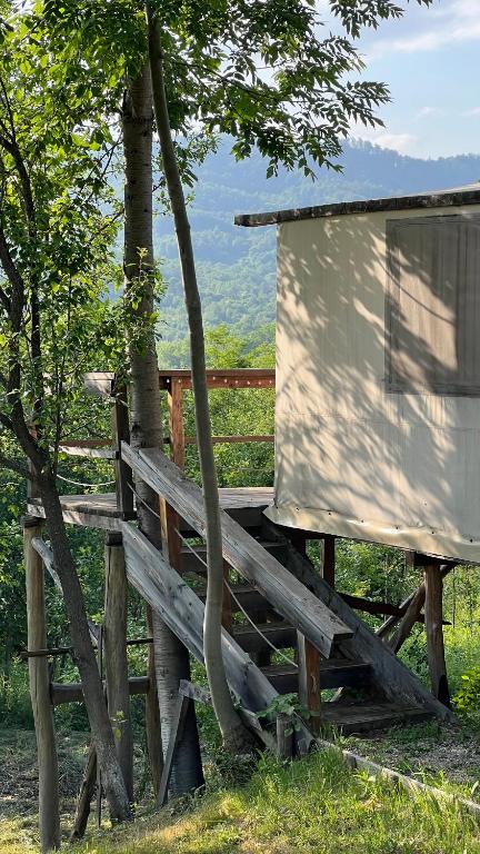 Mesteceni Glamping, Nistoreşti
