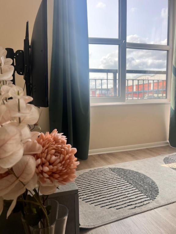 Whole Flat - Free Parking - Cathedral & Canal View, Lincoln