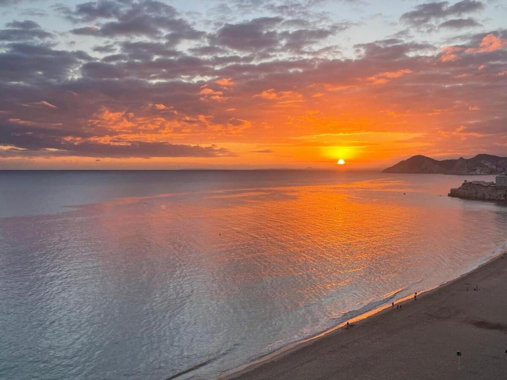 Beachfront studio in Benidorm - 2