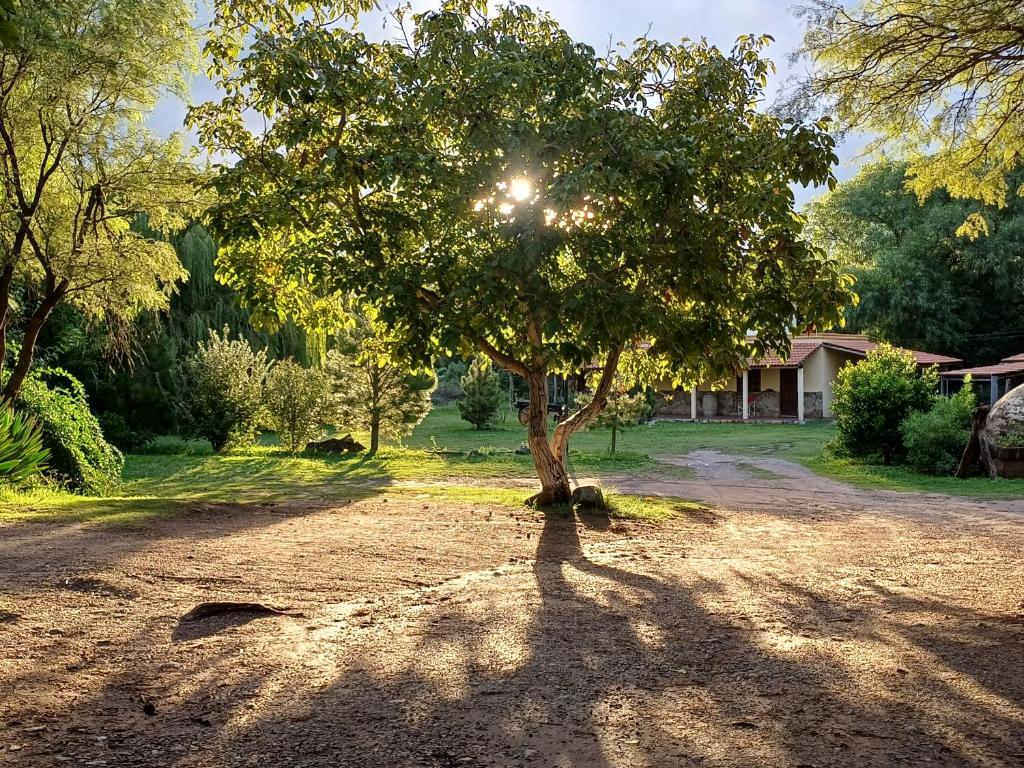 Posada El Algarrobo - 4