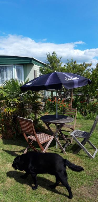 sandy wells caravans, Johnston