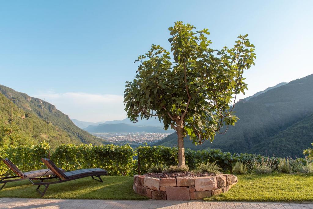 Langegger 1956, Bolzano