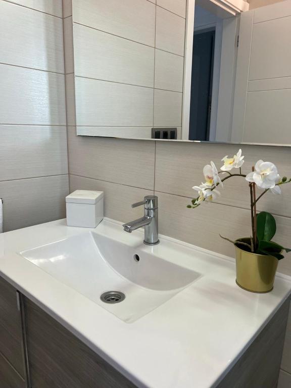 Apartamento Celma - 4