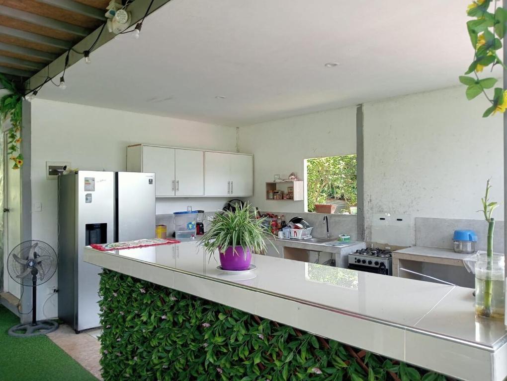 casa de hierro - 4