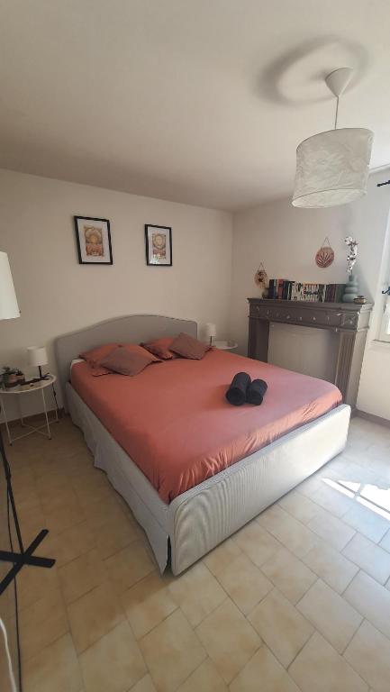 Cocon de Provence, Le Cannet-des-Maures