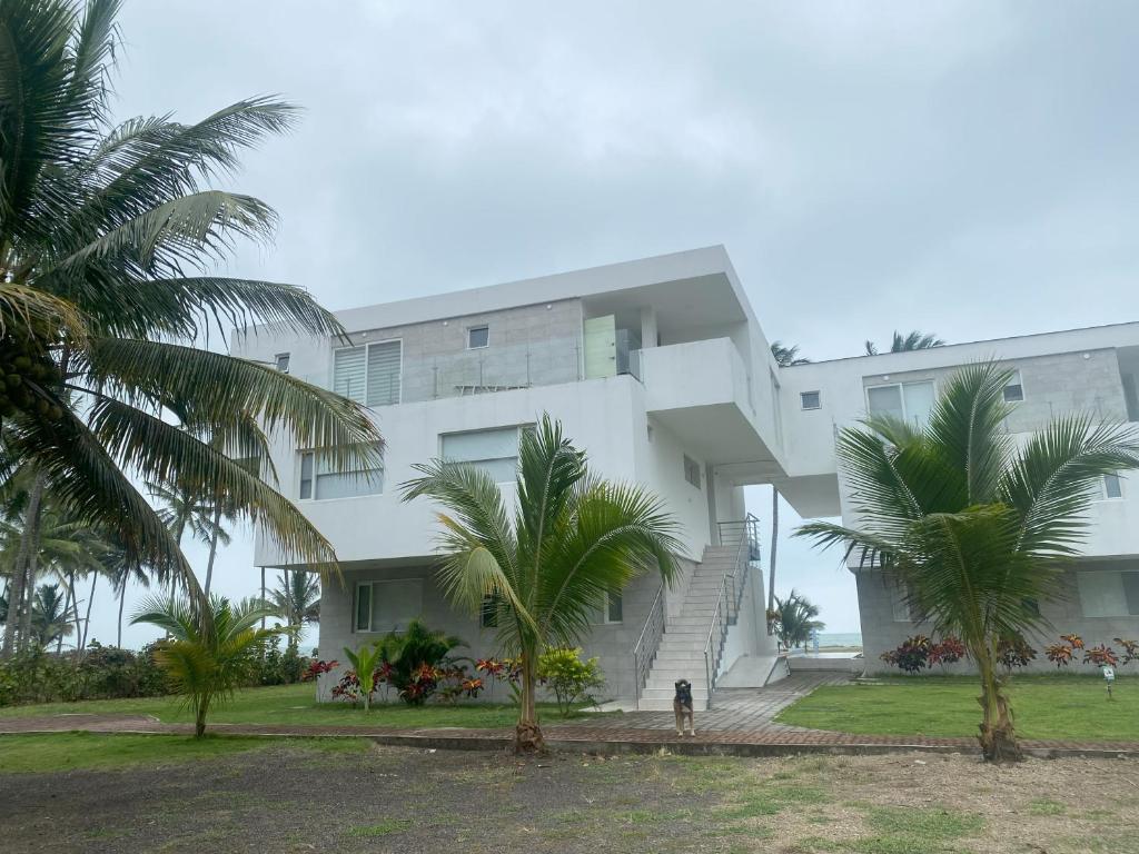 Departamento en la playa Cojimies - 5