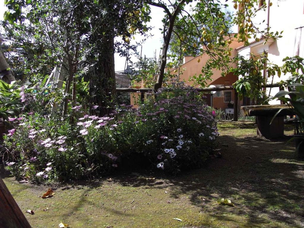 Apartment Sorrento 1 - 5