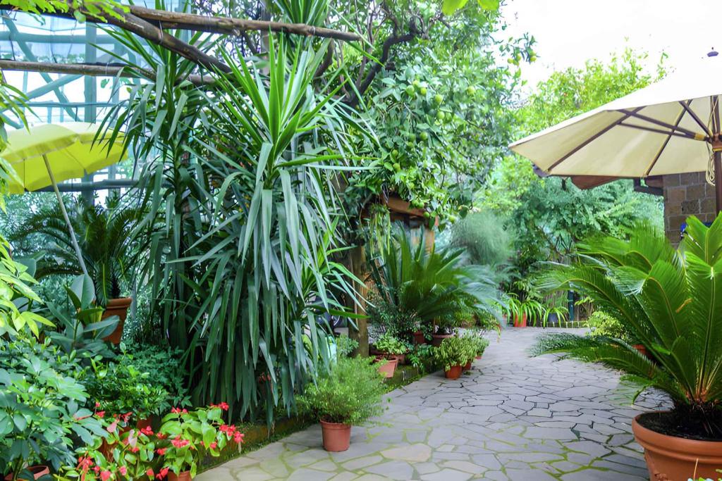 Apartment Sorrento 1 - 1