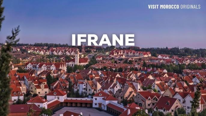 Lion D'ifrane, Ifrane