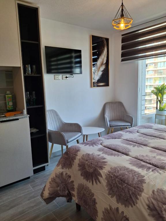 Apartment in Santiago - 2