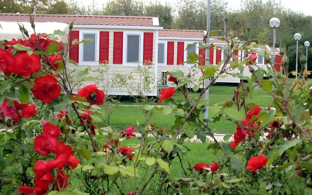 Mobilehomes in Sirmione - Gardasee 22177 - 5