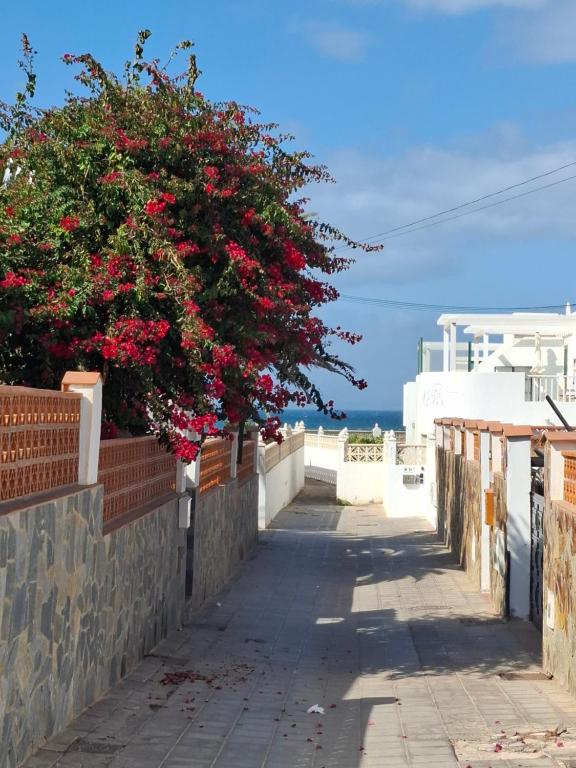 Las Olas Corralejo beach - 2