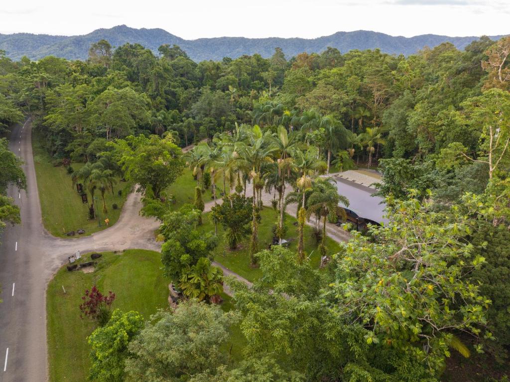 Daintree Siesta, Diwan