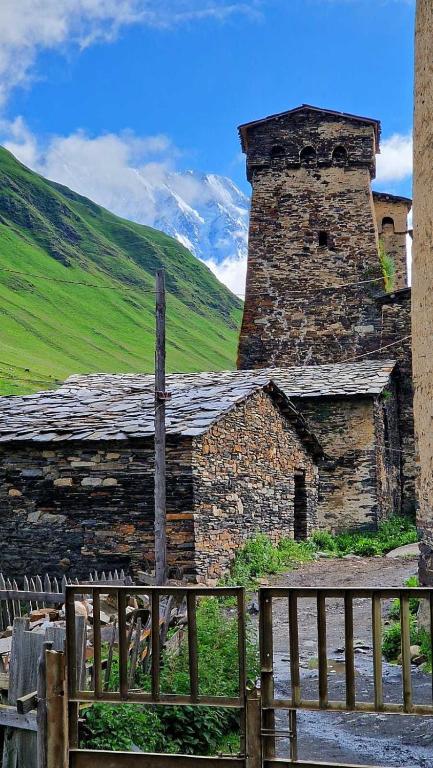 Nizharadze's Tower, Ušguli