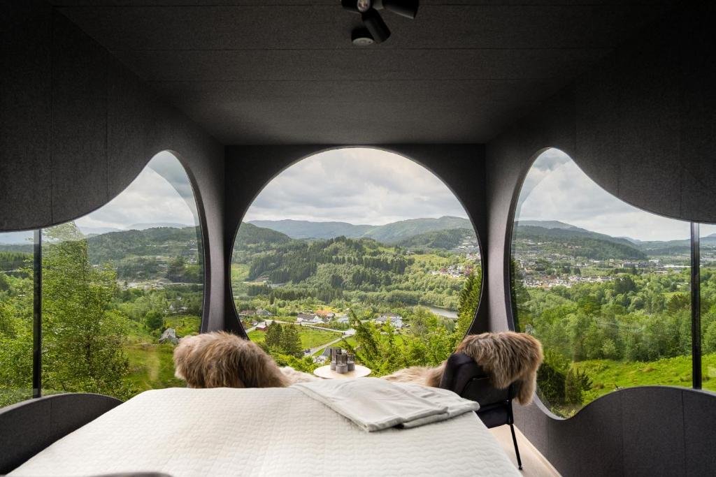 Birdbox Bergen, Bergen