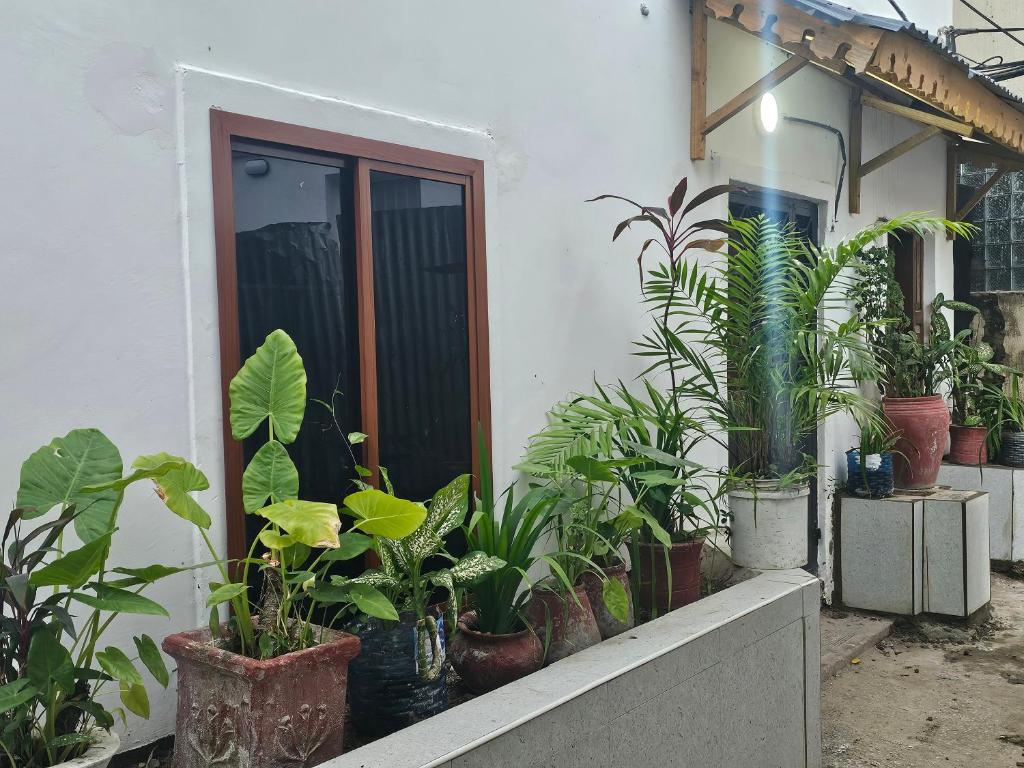 Jacob's Inn, Zanzibar