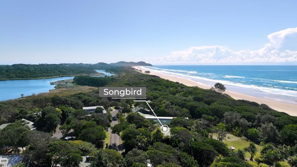 #17 Tallow Sands - Songbird, Suffolk Park