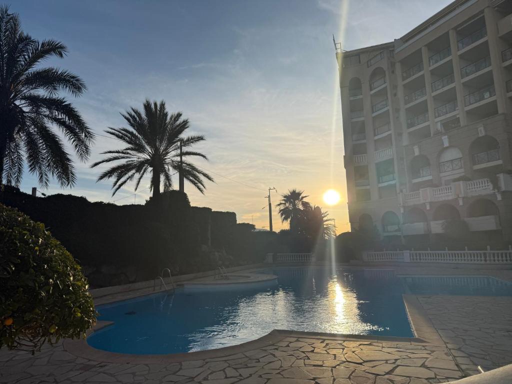 Palm d'Azur 459, Cannes