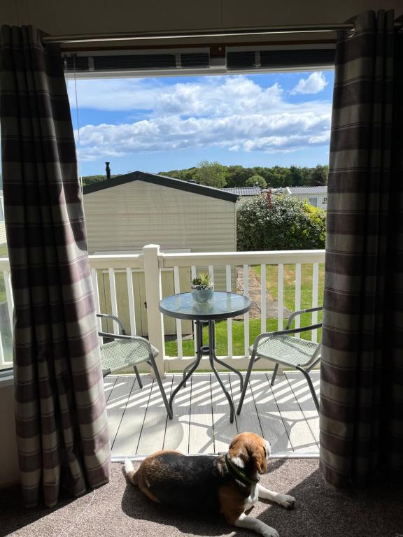 27 Forest view Cresswell towers, Ellington