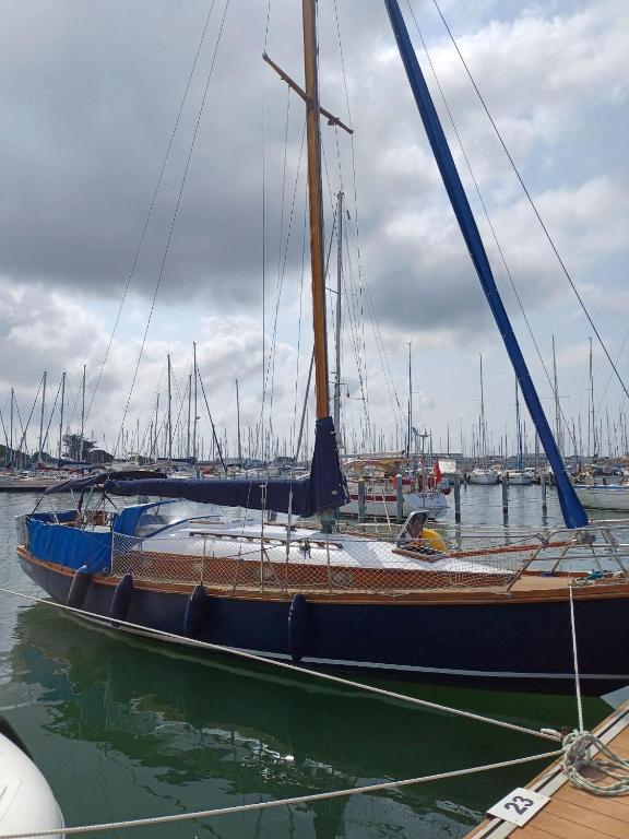 Atypique, Le Grau-du-Roi