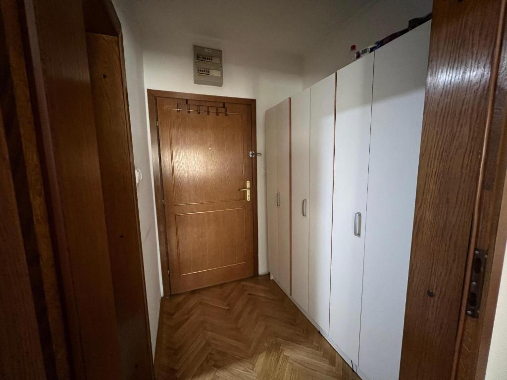 Detelina - 2