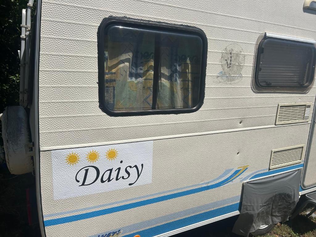 Daisy Kamper, Banjole