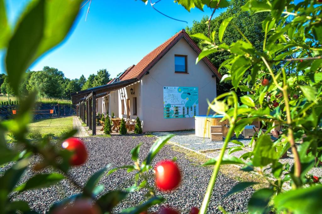 W Zaciszu Gomólnika, Głuszyca