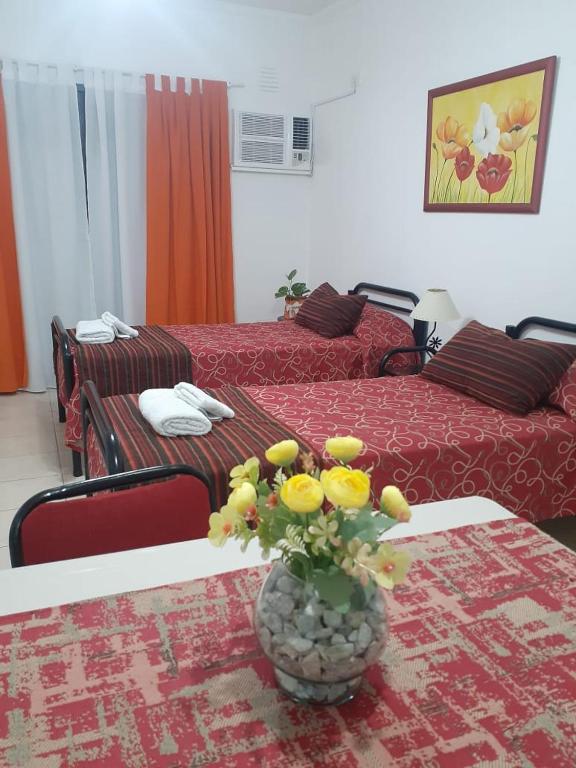 Monoambiente céntrico, Paraná