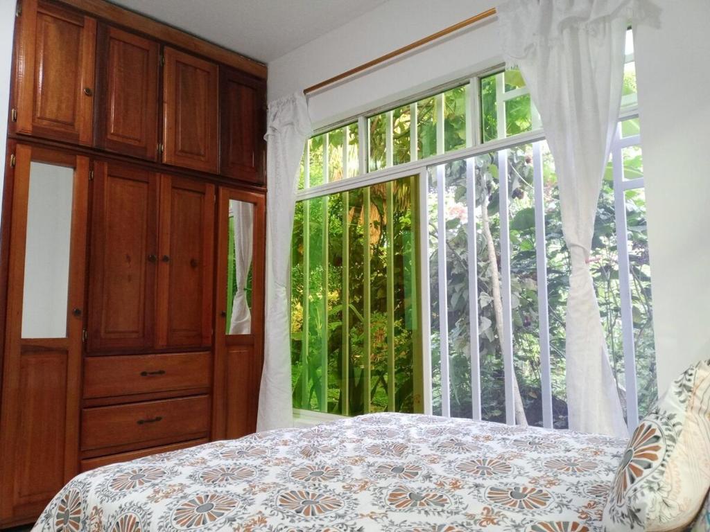 Relax in the Amazon, Tena - 4