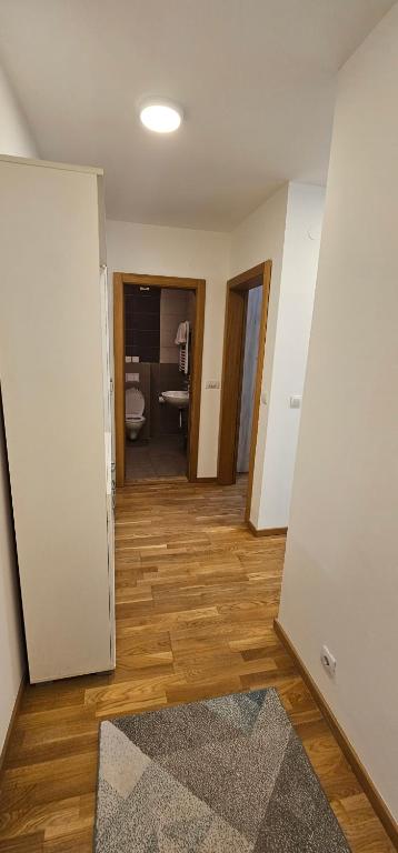 Apartmani Cara Lazara - 4